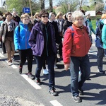 Grupa św. Faustyny 2017