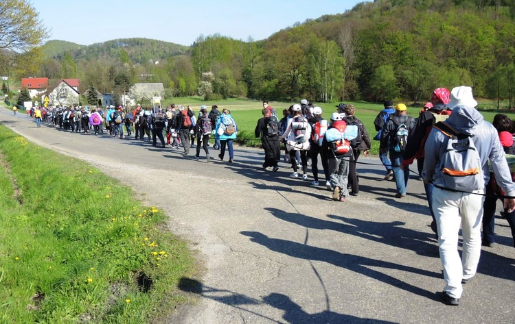 Pielgrzymi na trasie drugiego dnia - 1 maja 2017 r.