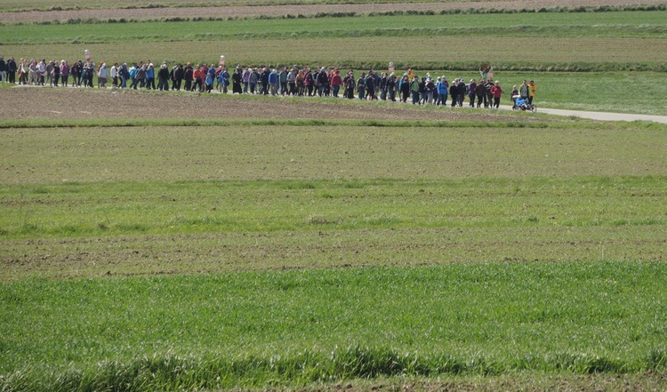 Pielgrzymi na trasie drugiego dnia - 1 maja 2017 r.