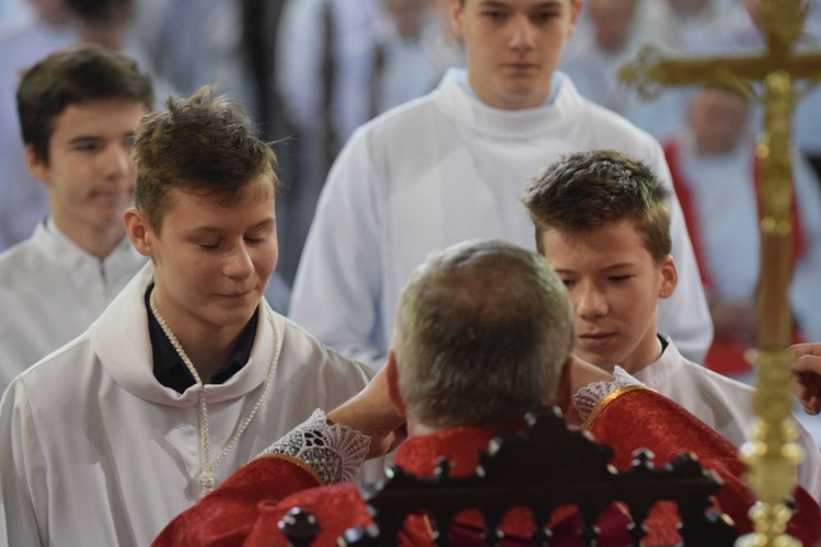 Nowi lektorzy i ceremoniarze