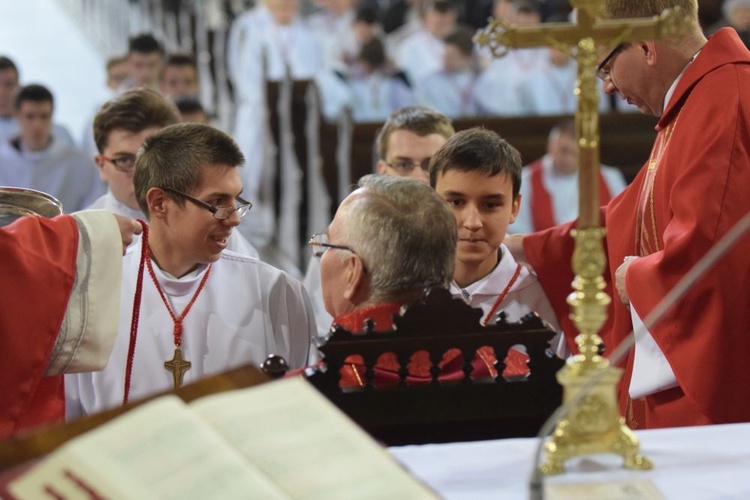 Nowi lektorzy i ceremoniarze