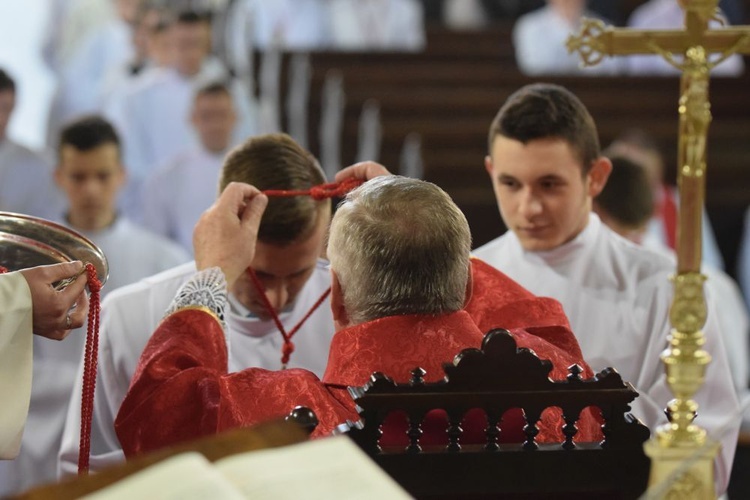 Nowi lektorzy i ceremoniarze