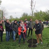 Żacy z NZS w Radomiu posadzili dąb kolumnowy.