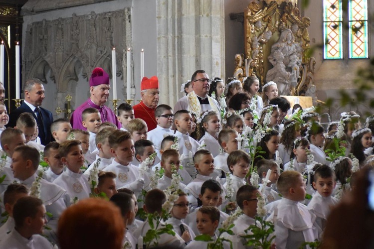 I komunii św. w Strzegomiu udzielił kardynał