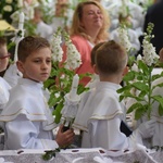 I komunii św. w Strzegomiu udzielił kardynał