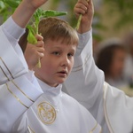 I komunii św. w Strzegomiu udzielił kardynał