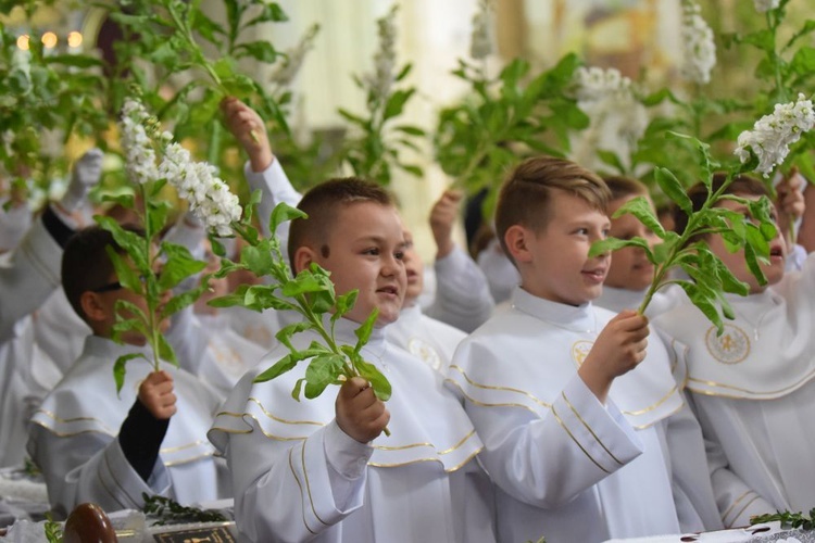 I komunii św. w Strzegomiu udzielił kardynał