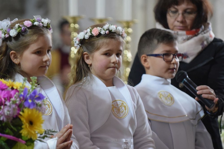 I komunii św. w Strzegomiu udzielił kardynał