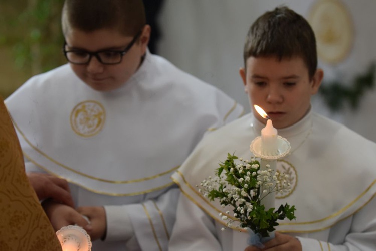 I komunii św. w Strzegomiu udzielił kardynał