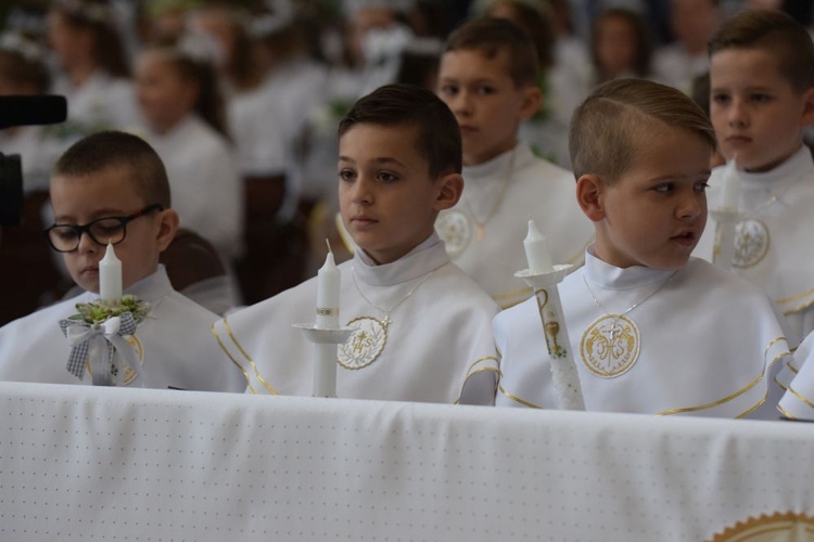 I komunii św. w Strzegomiu udzielił kardynał