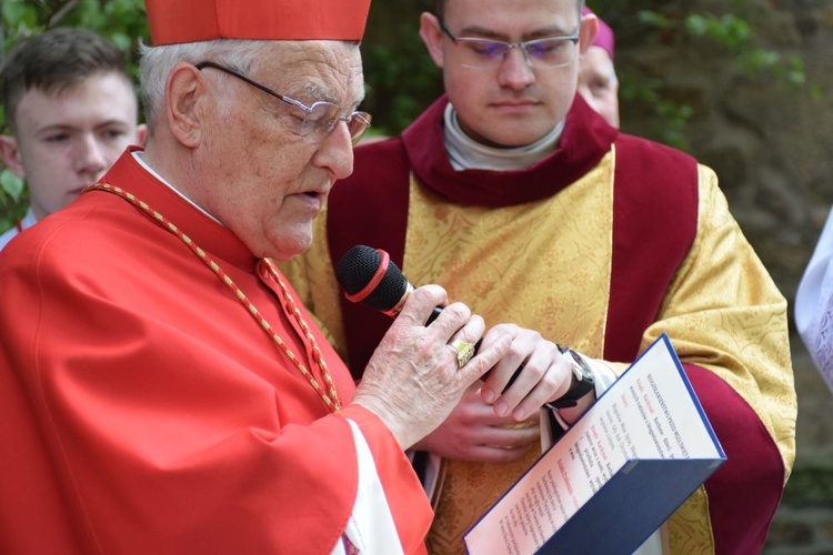 I komunii św. w Strzegomiu udzielił kardynał