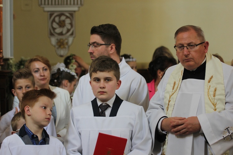 Powitanie ikony MB Częstochowskiej w Siedlcu