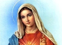 Holandia poświęcona Niepokalanemu Sercu Maryi