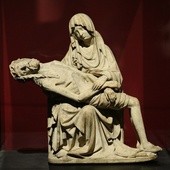 ​ MARIA MATER MISERICORDIAE