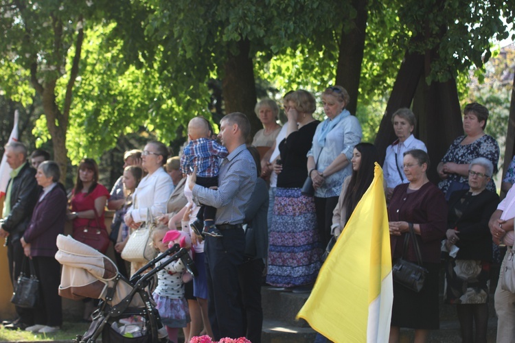 Powitanie ikony MB Częstochowskiej w Leźnicy Małej