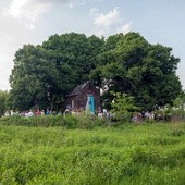 Przyda się każda para rąk