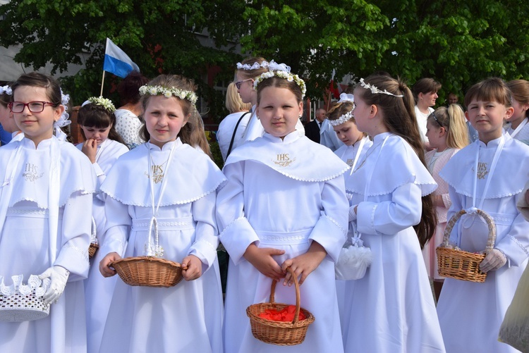 Powitanie ikony MB Częstochowskiej w Górze św. Małgorzaty