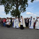 Powitanie ikony MB Częstochowskiej w Orłowie