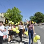 VI Marsz dla Życia i Rodziny w Skierniewicach