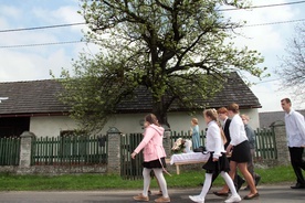 Szukają drzewa z opowieścią