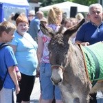 XIV Diecezjalny Dzień Niepełnosprawnych