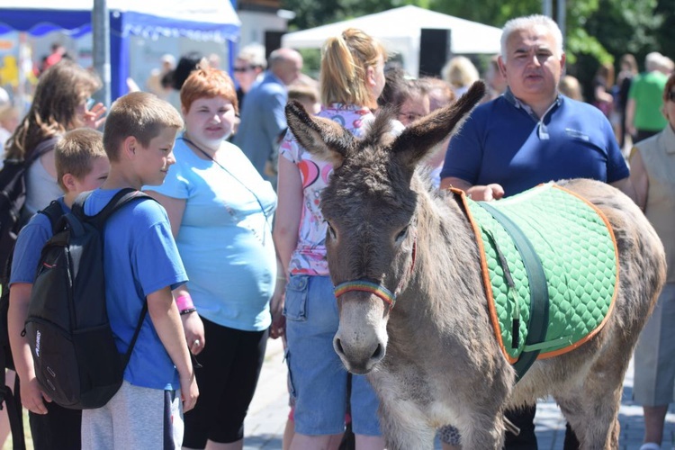 XIV Diecezjalny Dzień Niepełnosprawnych