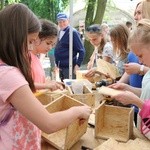 Festyn ekologiczny i zdrowotny w Radomiu