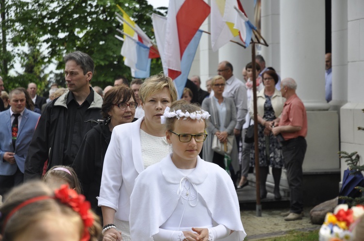 Powitanie ikony MB Częstochowskiej w Domaniewicach