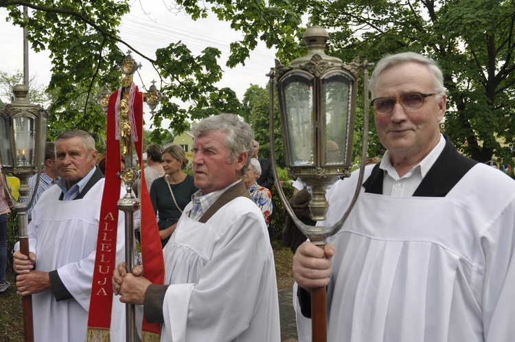 Powitanie ikony MB Częstochowskiej w Domaniewicach