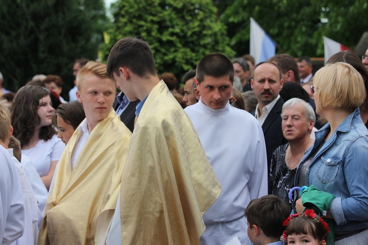 Powitanie ikony MB Częstochowskiej w Domaniewicach