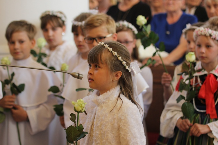 Powitanie ikony MB Częstochowskiej w Bąkowie