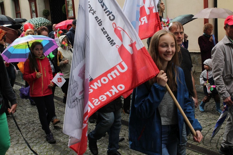 4. Marsz dla Życia i Rodziny w Bielsku-Białej - 2017