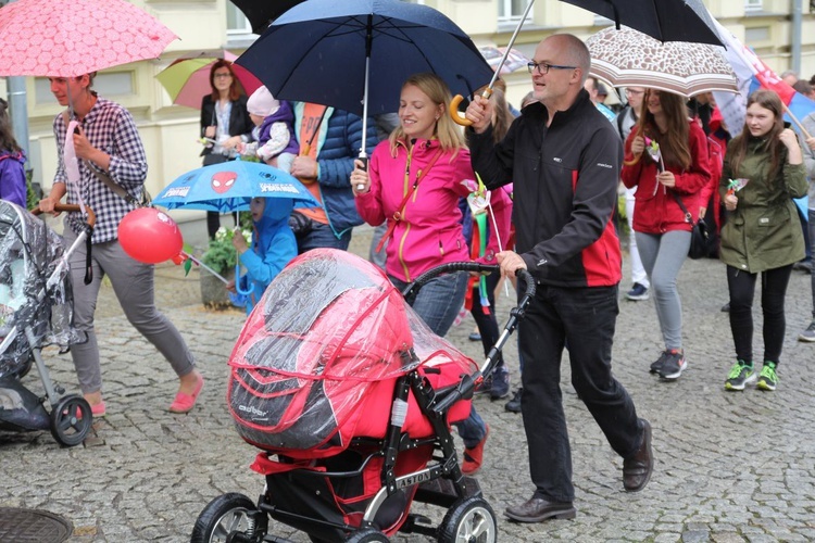 4. Marsz dla Życia i Rodziny w Bielsku-Białej - 2017