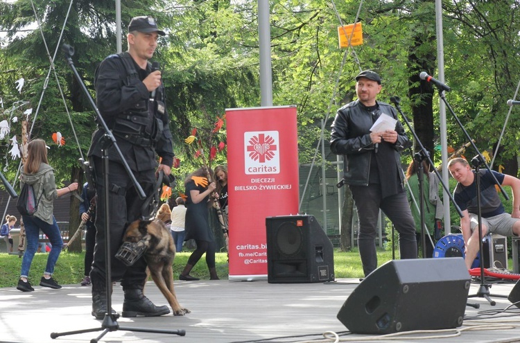 Piknik Caritas po Marszu dla Życia i Rodziny - 2017