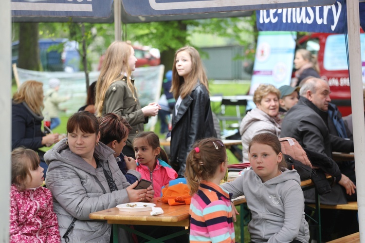 Rodzinny piknik w Kobiernicach