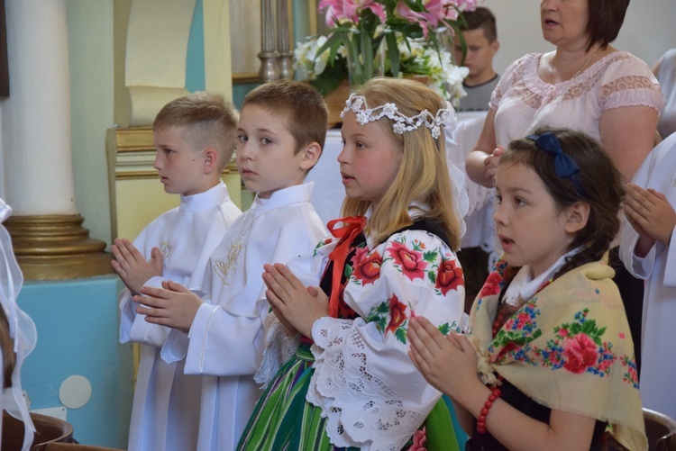 Powitanie ikony MB Częstochowskiej w Pszczonowie