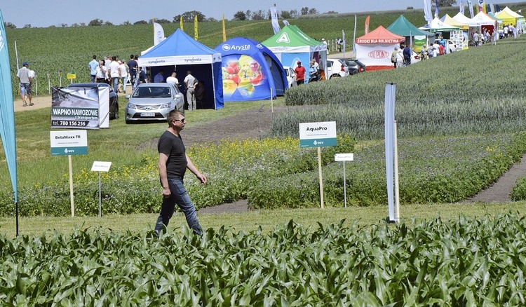 Dni rolnictwa w Poświętnem