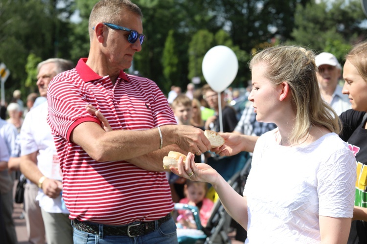 Marsz dla Życia i Rodziny w Oświęcimiu - 2017