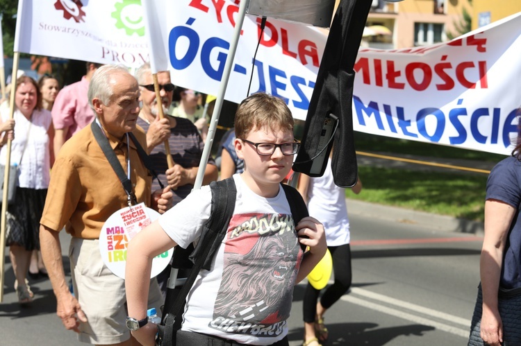 Marsz dla Życia i Rodziny w Oświęcimiu - 2017