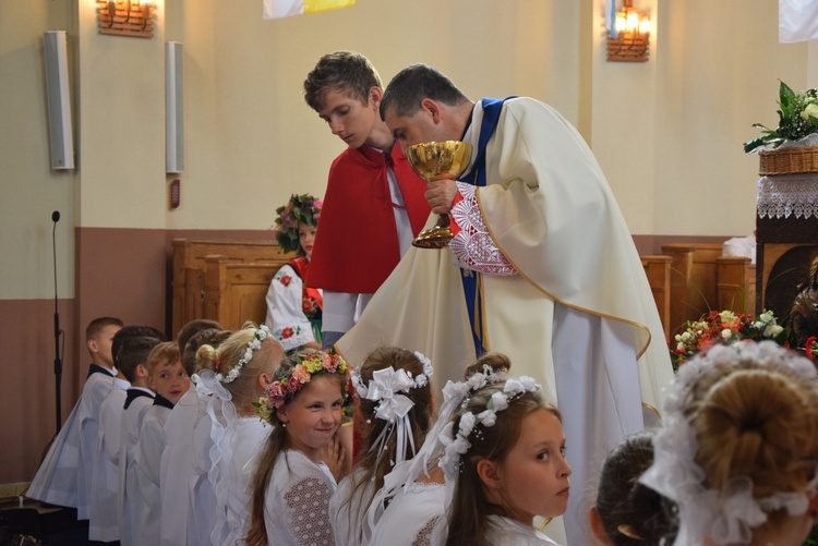 Powitanie ikony MB Częstochowskiej w Bobrownikach