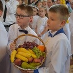 Powitanie ikony MB Częstochowskiej w Bobrownikach