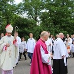 Powitanie ikony MB Częstochowskiej w Nieborowie