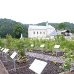 Święto Muszyńskich Ogrodów Biblijnych