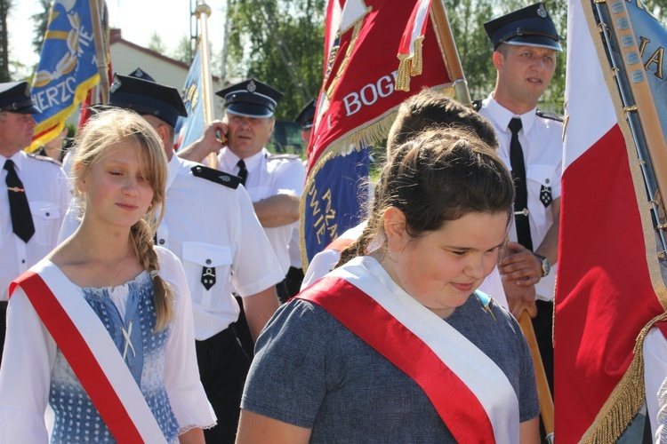 Powitanie ikony MB Częstochowskiej w Bednarach