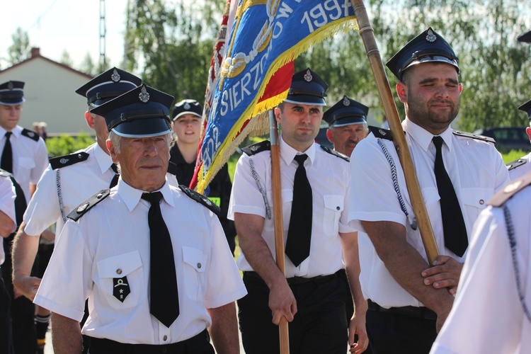 Powitanie ikony MB Częstochowskiej w Bednarach