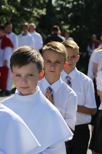 Powitanie ikony MB Częstochowskiej w Bednarach