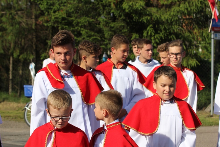 Powitanie ikony MB Częstochowskiej w Bednarach