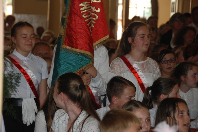 Powitanie ikony MB Częstochowskiej w Bednarach