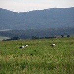 Łemkowszczyzna: Beskid Niski