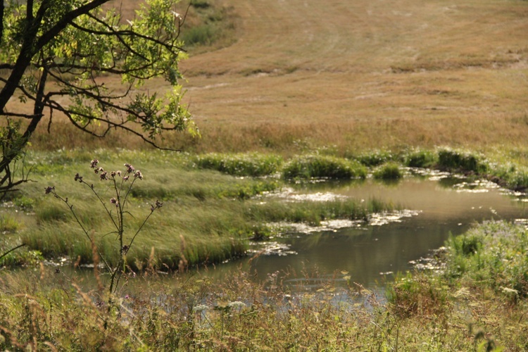 Łemkowszczyzna: Beskid Niski